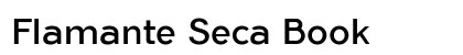 Flamante Seca Book preview