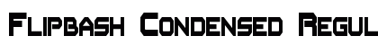 Flipbash Condensed Regular preview