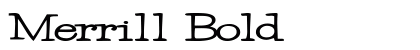 Merrill Bold preview