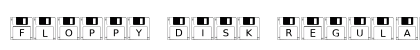 Floppy Disk Regular preview