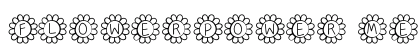 FlowerPower Medium preview