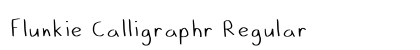 Flunkie Calligraphr Regular preview