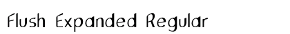 Flush Expanded Regular Preview