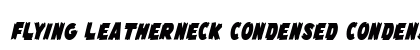 Flying Leatherneck Condensed Condensed preview