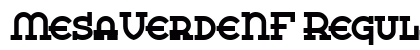 MesaVerdeNF Regular preview