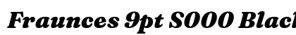 Fraunces 9pt S000 Black Italic preview