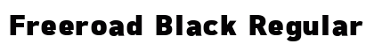 Freeroad Black Regular preview