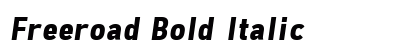 Freeroad Bold Italic Preview
