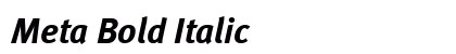 Meta Bold Italic Preview