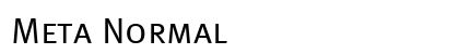 Meta Normal Preview
