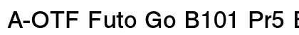 A-OTF Futo Go B101 Pr5 Bold preview