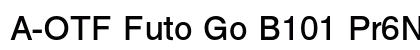 A-OTF Futo Go B101 Pr6N Bold preview