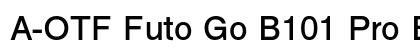 A-OTF Futo Go B101 Pro Bold preview