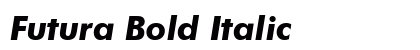 Futura Bold Italic Preview