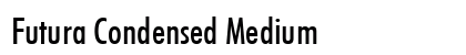 Futura Condensed Medium preview