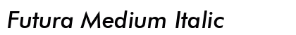 Futura Medium Italic Preview