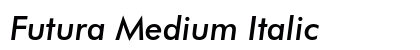 Futura Medium Italic Preview