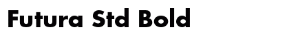 Futura Std Bold preview