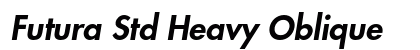 Futura Std Heavy Oblique preview