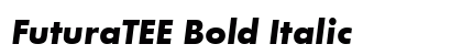 FuturaTEE Bold Italic Preview