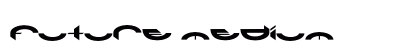 Future Medium preview