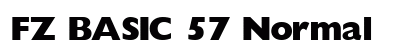 FZ BASIC 57 Normal preview