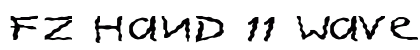 FZ HAND 11 WAVEY EX Normal preview