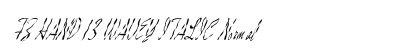 FZ HAND 13 WAVEY ITALIC Normal preview