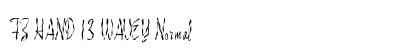 FZ HAND 13 WAVEY Normal preview