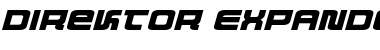 Direktor Expanded Italic Font