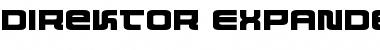 Direktor Expanded Font