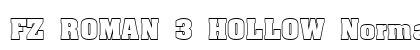 FZ ROMAN 3 HOLLOW Normal preview
