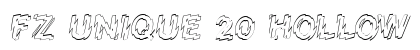 FZ UNIQUE 20 HOLLOW Normal preview