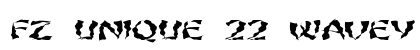 FZ UNIQUE 22 WAVEY EX Normal preview