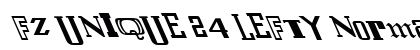 FZ UNIQUE 24 LEFTY Normal preview