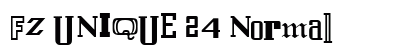 FZ UNIQUE 24 Normal preview