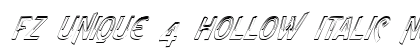 FZ UNIQUE 4 HOLLOW ITALIC Normal preview