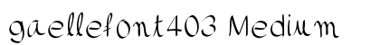 gaellefont403 Medium preview