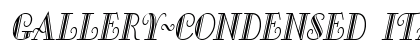 Gallery-Condensed Italic Preview