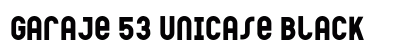 Garaje 53 Unicase Black preview