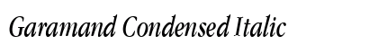 Garamand Condensed Italic preview