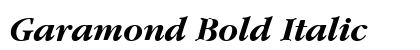 Garamond Bold Italic Preview