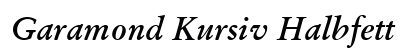 Garamond Kursiv Halbfett Preview