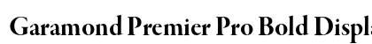 Garamond Premier Pro Bold Display preview