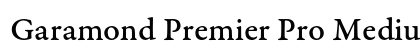 Garamond Premier Pro Medium Caption Preview