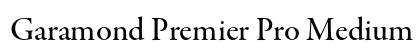 Garamond Premier Pro Medium Subhead Preview
