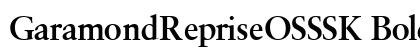 GaramondRepriseOSSSK Bold preview