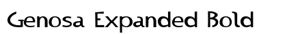 Genosa Expanded Bold preview