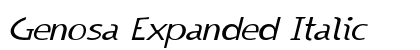 Genosa Expanded Italic Preview