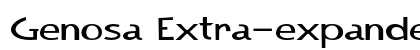 Genosa Extra-expanded Bold Preview